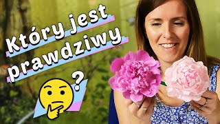 ☕ Piwonie jak prawdziwe ze wstążki zrobione DIY przy kawie 48 [upl. by Othella923]