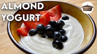 Vegan Almond Yogurt Recipe  How to Make Vegan Yogurt at Home [upl. by Atiugal]