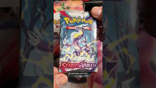 Scarlet amp Violet Pack Rip shorts pokemon pokemontcg cranescollectibles [upl. by Tobie]