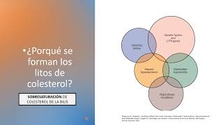 Colelitiasis Coledocolitiasis Colangitis Colecistitis [upl. by Flann]