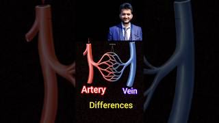 Difference between Artery and Vein shorts [upl. by Nirad]