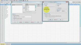 SPSS VideoSeminar  Teil 49 Statistiken  multidimensionale Skalierung MDS [upl. by Annaihr]