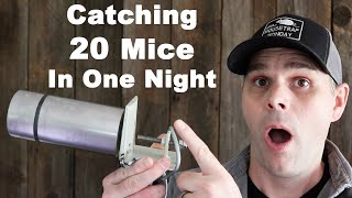 Impressive Mousetrap Catches 20 Mice In One Night Mousetrap Monday [upl. by Tadio]