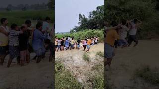 Villagers resque a diseased and lame cow from a paddy field [upl. by Hpeosj]