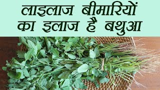 Bathua बड़ी बड़ी बीमारियों का इलाज है बथुआ  Chenopodium album Health Benefits  Boldsky [upl. by Kallman]