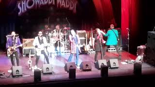 Showaddywaddy  The Party  Live in Glasgow 29062024 [upl. by Carrew]