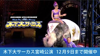 木下大サーカス宮崎公演 開催中🎪 木下大サーカス 木下大サーカス宮崎 木下大サーカス宮崎公演 [upl. by Damas]