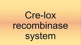 Crelox Recombinase System Pronunciation  How to Say  How to Pronounce [upl. by Gebhardt607]