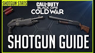 Shotgun Weapon Guide  Hauer 77 and Gallo SA12 Stats  Black Ops Cold War Guides [upl. by Uwton56]