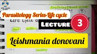 Parasitology SeriesLife cycle  Lecture 3  Leishmania donovani  Kalaazar  In One page [upl. by Osric918]