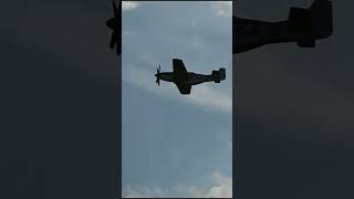 Epic P51 Mustang Low Flybys Gathering of Warbirds [upl. by Nnylg]