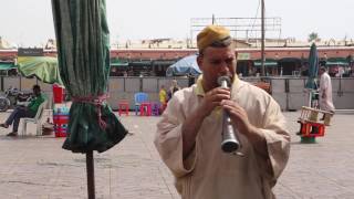 Maroc Marrakech Place Jemaa El Fna Charmeur de serpents  Morocco Marrakech Place Jemaa El Fna Snake [upl. by Josefina319]