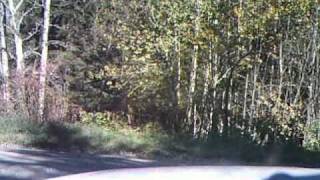 A drive on Fournier Road Madawaska Maine on October 4 2010 [upl. by Gamal201]