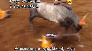 Jallikattu 2011Avaniyapuram Part  05 [upl. by Maida709]