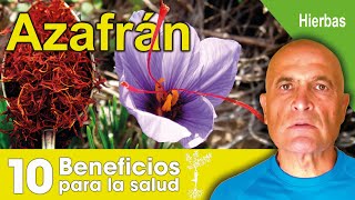 AZAFRÁN 🥘 10 Beneficios para la Salud 💜 [upl. by Rothwell]