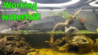 Paludarium with working waterfall paludariumamphibians [upl. by Ranchod373]