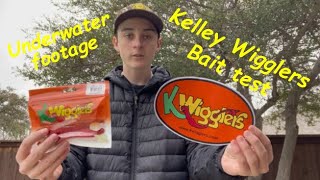 Bait analysis of Kelley Wigglers KWigglers  underwater footage [upl. by Devinna]