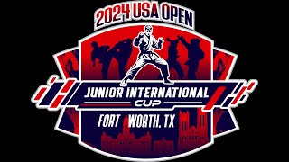 2024 USA Karate Open Finals Tatami 1 [upl. by Jerrine]