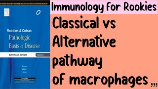 Classical vs Alternative pathway of Macrophages [upl. by Atrice]