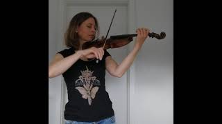 Windir  Arntor a Warrior  Caroline Salmona  violin cover [upl. by Lira]