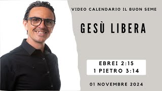 01 NOVEMBRE 2024 Calendario cristiano IL BUON SEME [upl. by Anaert]