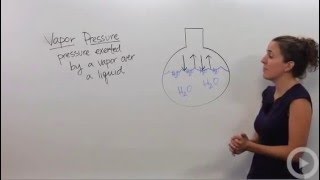 Vapor Pressure [upl. by Nareik]