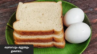 ബ്രെഡും മുട്ടയും മിക്സിയിൽ കറക്കി റെഡിയാക്കിയ പലഹാരം 🔥🔥 Easy snacks in malayalam  bread recipes [upl. by Enyahc246]