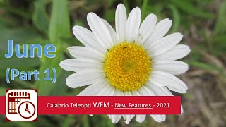 Calabrio Teleopti WFM June 2021 Part 1 [upl. by Maurey]