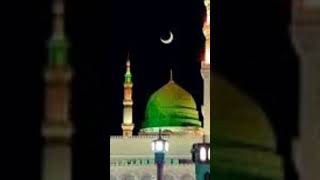 Sarkar kadmo mein bulayengeyoutubeshorts Islamicvideoytshort Rehan 90 [upl. by Luby]