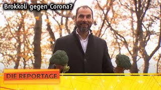 quotBrokkoli Das neue Mittel gegen Coronaquot  Verschwörungstheorien der Pandemie  Die Reportage  ATV [upl. by Wilma867]