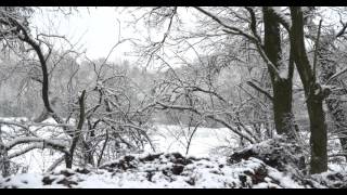 Test 5  First Snow 2016 in Schwabach  Sony PXWFS7 with Sony SELP18105G [upl. by Sylvie]