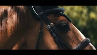 Stronger  Horse Music Video [upl. by Trinidad]