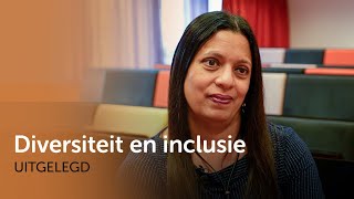 Diversiteit amp inclusie  uitgelegd [upl. by Petras]