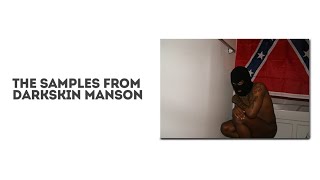 Every Sample From Darkskin Manson By JPEGMAFIA [upl. by Yenaj]