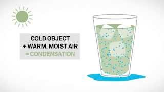 Understanding Condensation on Windows  Renewal by Andersen [upl. by Golding]