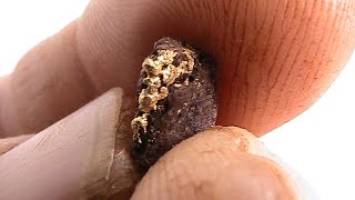 Metal Detecting for Gold Nuggets in WA 2014 pt 6 [upl. by Norrahs926]