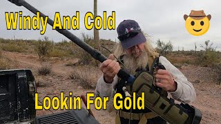 Minelab SDC 2300  Arizona Desert  GOLD [upl. by Caye]