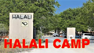 Halali Rest Camp in Etosha National Park Namibia southern Africa [upl. by Alvita]