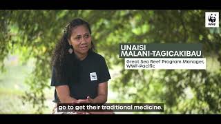 Mangrove Day Fiji [upl. by Yemorej]