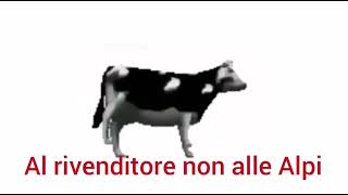 polish cowmucca polacca traduzione in italiano [upl. by Malca]