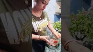 Garam rice aur Rasam recipe rasam ytshorts champakitchen [upl. by Neelyaj]