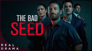 The Bad Seed S1E1  Crime Series Based On Chartlotte Grimshaw Novels 2019  Real Drama [upl. by Williamsen]