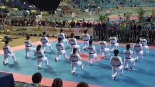 Kukkiwon Taekwondo Demonstration 2013 Belgian Open [upl. by Anem583]