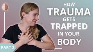 How Trauma Gets Trapped in Your Body and Nervous System 23 [upl. by Lema]