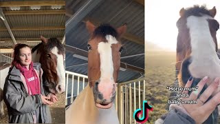 🐴 The Cutest HORSES 🦄  TikTok Compilation [upl. by Silvie]