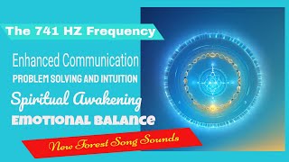 Exploring the 741 Hz Solfeggio Frequency [upl. by Kerred]