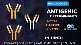 Antigenic Determinants  Isotypes  Allotypes  Idiotypes  Immunology [upl. by Rehctaht22]