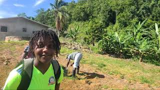 Garf Adventure JAMAICA 🇯🇲 is live On the Farm [upl. by Ij]