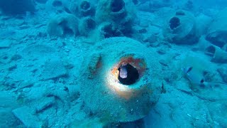 Scuba Diving on a 2000 Year Old Ancient Roman Shipwreck Albenga Italy [upl. by Nai]