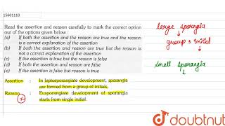 Assertion In leptosporangiate development of sporangia starts from a group of initials Reason [upl. by Modesty]